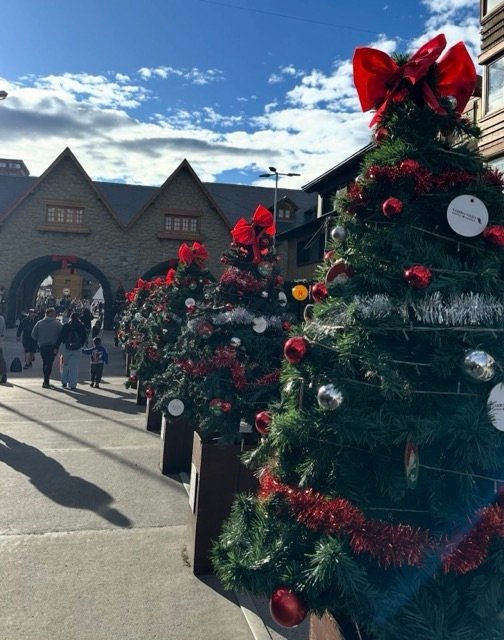 Centro de Bariloche com arvores de natal no verão